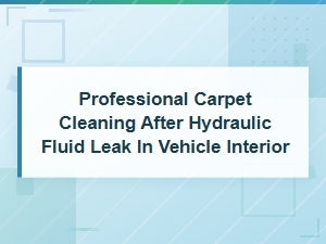Professional Carpet Cleaning After Hydraulic Fluid Leak in Vehicle Interior